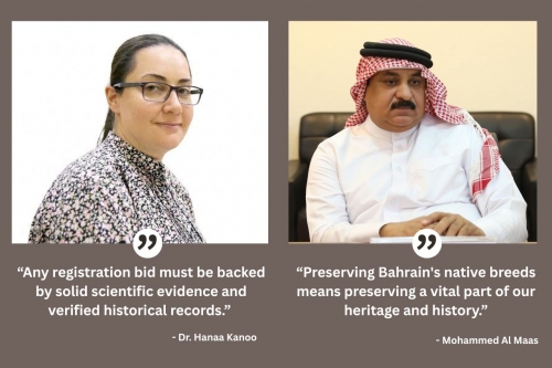 Plan to Register 'Jaeiri Dog' as Bahraini Heritage
