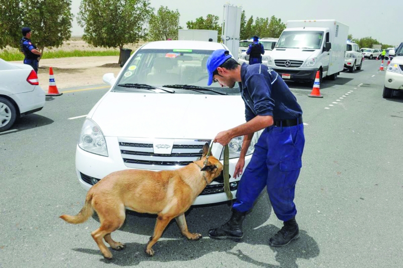 Sniffer dogs catch hashish smuggler  