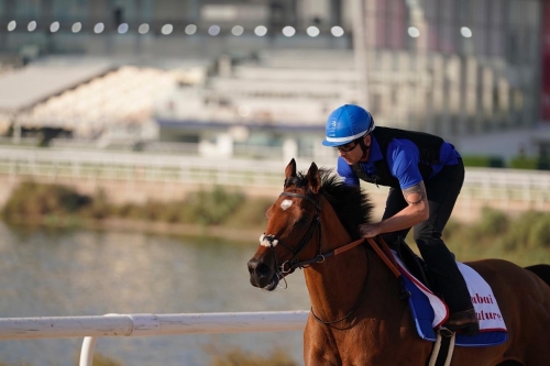 Showpiece horserace to shine global spotlight on Bahrain
