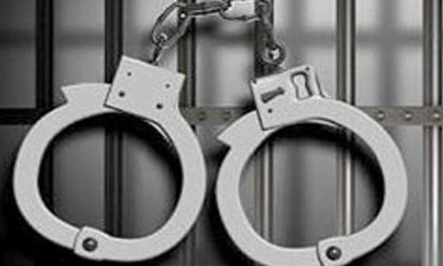 China police arrest 230 over pyramid scheme