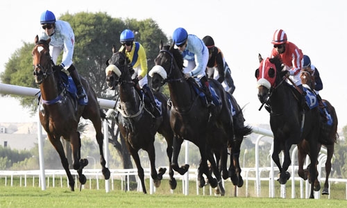 Shawwash wins main event in season-opening horse races in Riffa