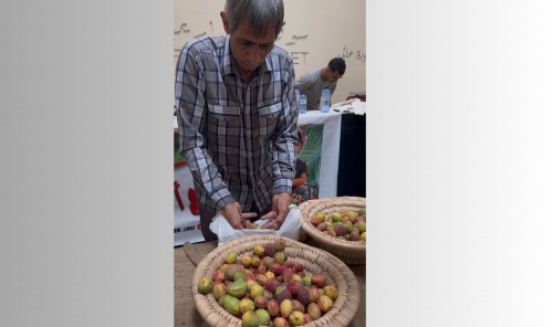 GCC Visitors Flock to Final Day of Almond Festival GCC Visitors Flock to Final Day of Almond Festival