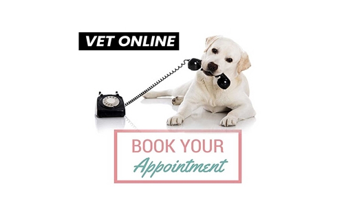 Veterinary services go online in Bahrain