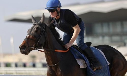 Rashid Equestrian and Horseracing Club to host prestigious Group Three Bahrain International Trophy