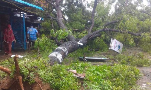 11 killed as cyclone whips Indian coast 11 killed as cyclone whips Indian coast