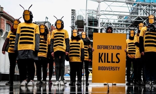 Crowded out: Wildlife the biggest loser in real estate war with humans Crowded out: Wildlife the biggest loser in real estate war with humans