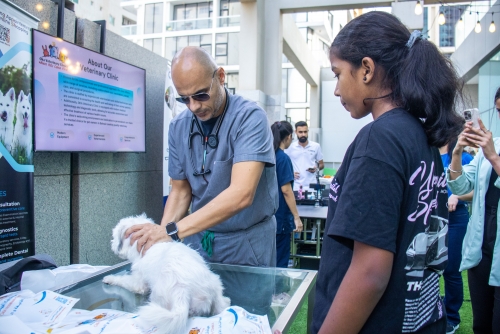 Hilton Bahrain and Strays Adoption Bahrain Host Heartwarming Pet Adoption Day: “Take Me Home” 