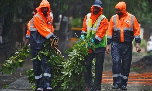 Cyclone Nivar tears down power lines, trees in India; no casualties
