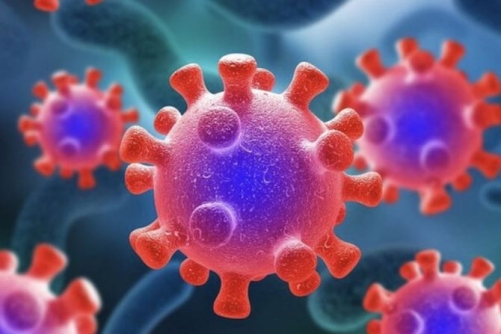 Indonesia Warns of Nipah Virus Spread from Bats and Migratory Birds Indonesia Warns of Nipah Virus Spread from Bats and Migratory Birds