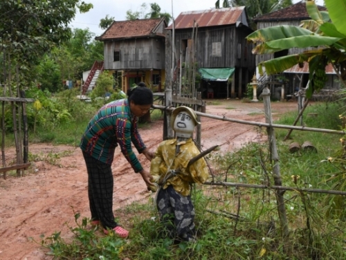 Cambodian farmers deploy scarecrows to ward off virus
