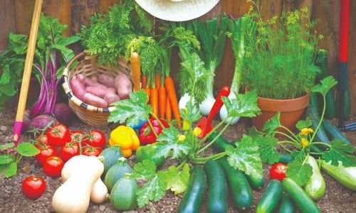 March your way into a blissful spring - Eats and Treats by Tania Rebello March your way into a blissful spring - Eats and Treats by Tania Rebello