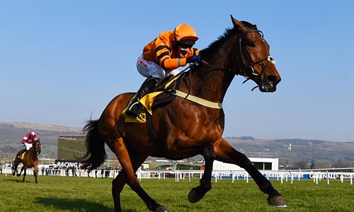 Thistlecrack saunters to King George glory