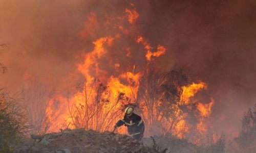 Chile continues to battle eight forest fires, 25 others contained