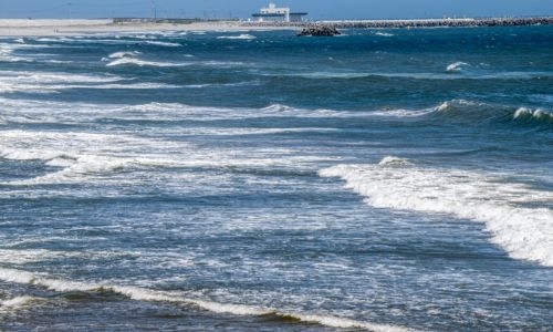 Japan releases water from Fukushima nuclear plant, China furious Japan releases water from Fukushima nuclear plant, China furious