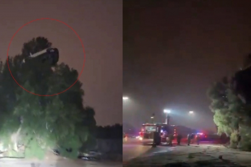 Car in Tree Sparks Confusion and Panic in Kuwait. Do you know why?