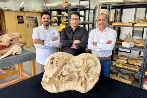 Egypt dig unearths 41 million-year-old whale in desert Egypt dig unearths 41 million-year-old whale in desert