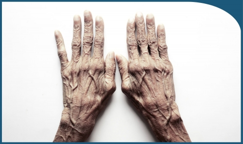  International Day of Older Persons