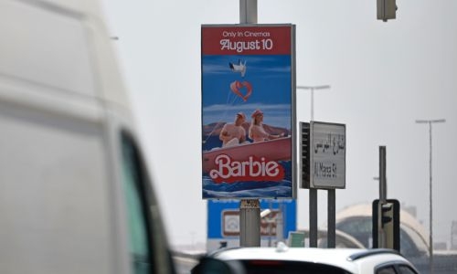 Bahraini lawyer vows to continue battle against 