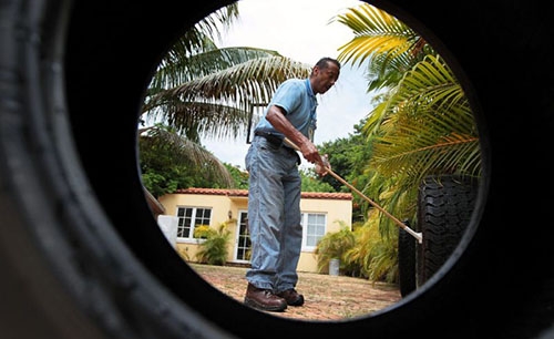 Cheap tire innovation could boost Zika control Cheap tire innovation could boost Zika control