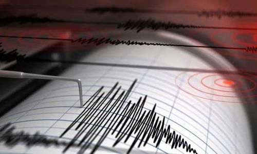 4.5 magnitude quake jolts parts of Pakistan
