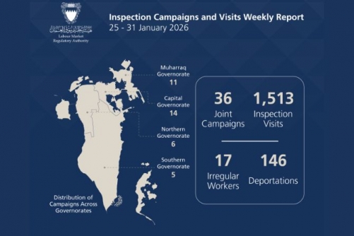 17 illegal workers arrested and 146 violators deported 17 illegal workers arrested and 146 violators deported