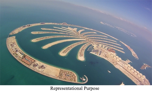 Rabbits infest Dubai's Palm Jumeirah; cages set to trap them Rabbits infest Dubai's Palm Jumeirah; cages set to trap them