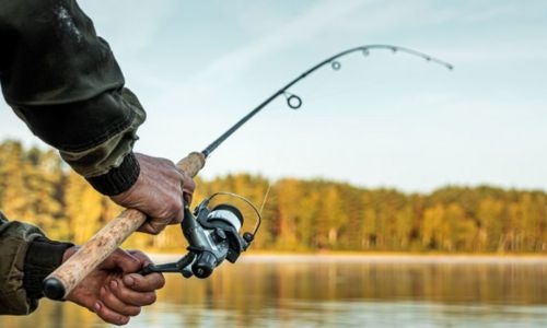 Catch and release for next-gen fishers Catch and release for next-gen fishers