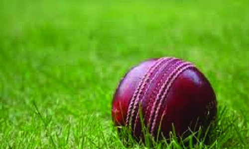 Young Boys go up in HBL Premier League Young Boys go up in HBL Premier League