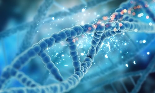 DNA Test Rescues 21-Year-Old Girl, Grants Her Legal Identity