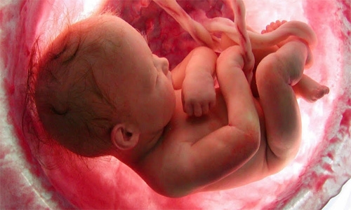 Bahrain health centre probed for patient's miscarriage, physical deformation 