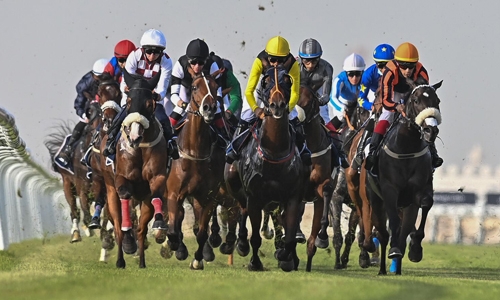 Rashid Equestrian and Horseracing Club set for exciting eight-race card today