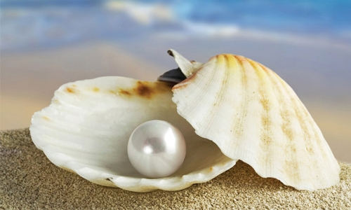 Pearl diving season begins in Bahrain 