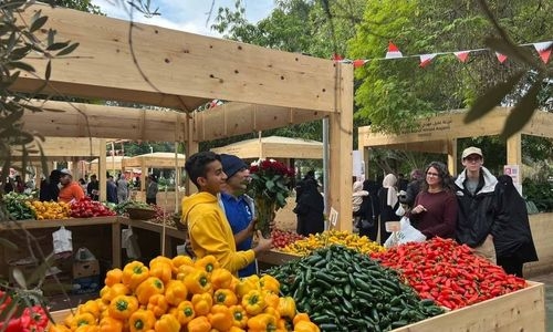 Bahraini Farmers’ Market attracts scores of visitors