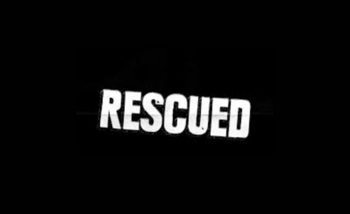 Rescues Woman After Cruise Control Malfunction on Shaikh Khalifa Highway