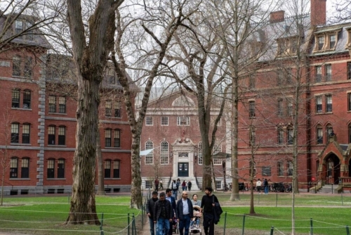 Harvard settles body parts trafficking scandal for $53 million Harvard settles body parts trafficking scandal for $53 million