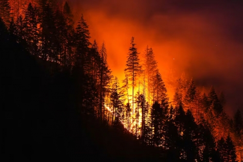 Canada Faces One Of Its ‘Most Intense’ Wildfires Canada Faces One Of Its ‘Most Intense’ Wildfires