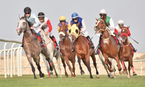 Pleasure Bent gallops to win Pleasure Bent gallops to win