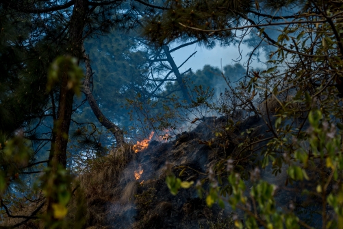 Wildfires Threaten Spanish Tourist Hotspot; Portugal Seeks EU Help Wildfires Threaten Spanish Tourist Hotspot; Portugal Seeks EU Help