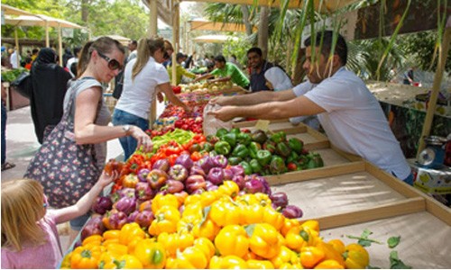 Bahrain Farmers Market to kick off Saturday Bahrain Farmers Market to kick off Saturday