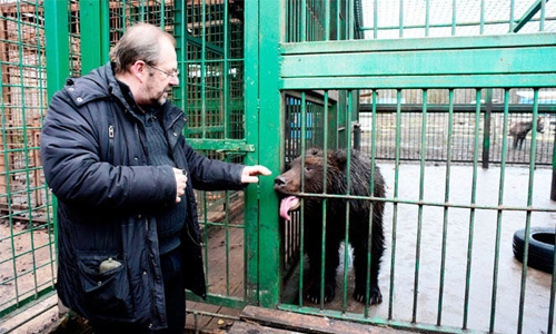 Getting animals back on their legs Getting animals back on their legs