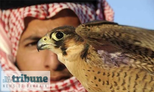 Saudi Arabia reinforces its position as a global hub of Falconry
