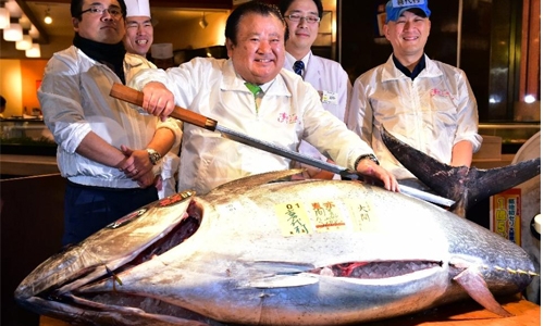 Japan sushi boss pays $117,000 for threatened tuna