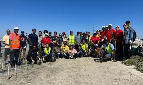 3,890 mangroves planted in ‘less than two hours’ in Bahrain