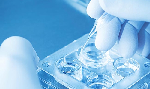 Woman can use dead husband's sperm Woman can use dead husband's sperm