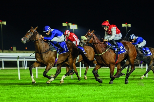 Elite horses set for third round of Bahrain International Championship