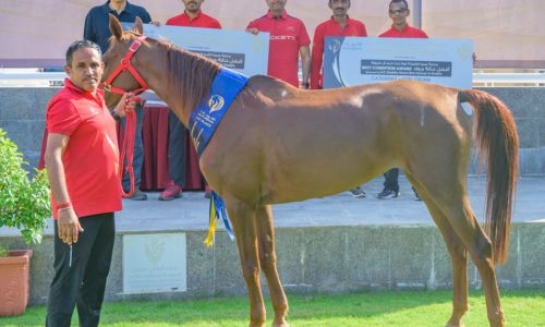 Team Victorious wins Best Horse Condition award Team Victorious wins Best Horse Condition award