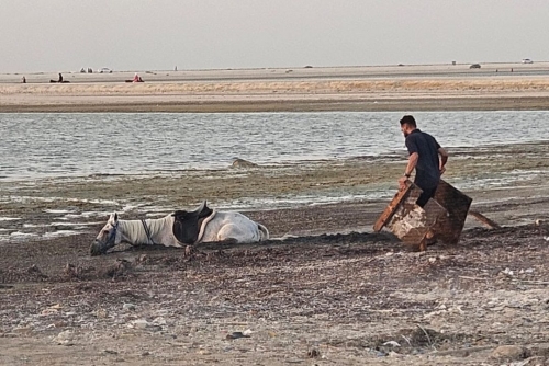 Life-or-death moment 