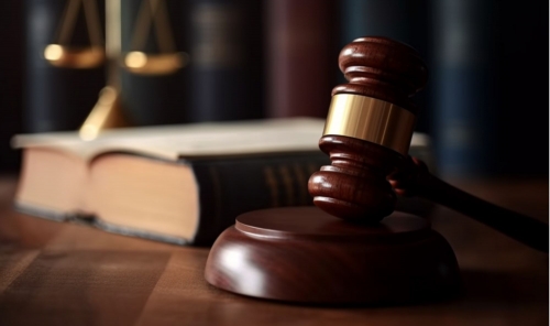 News In Brief - From the Court News In Brief - From the Court