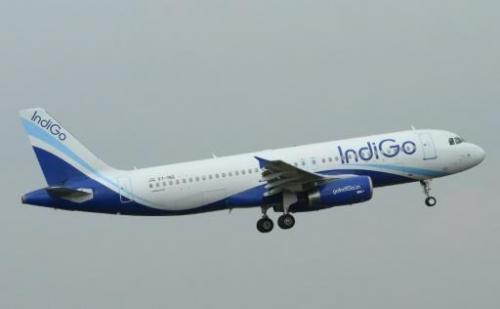 IndiGo shares surge on Indian airline's trading debut