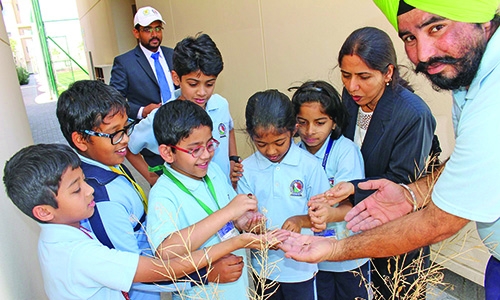 Green Drive at Bahrain NMS-DPS Green Drive at Bahrain NMS-DPS